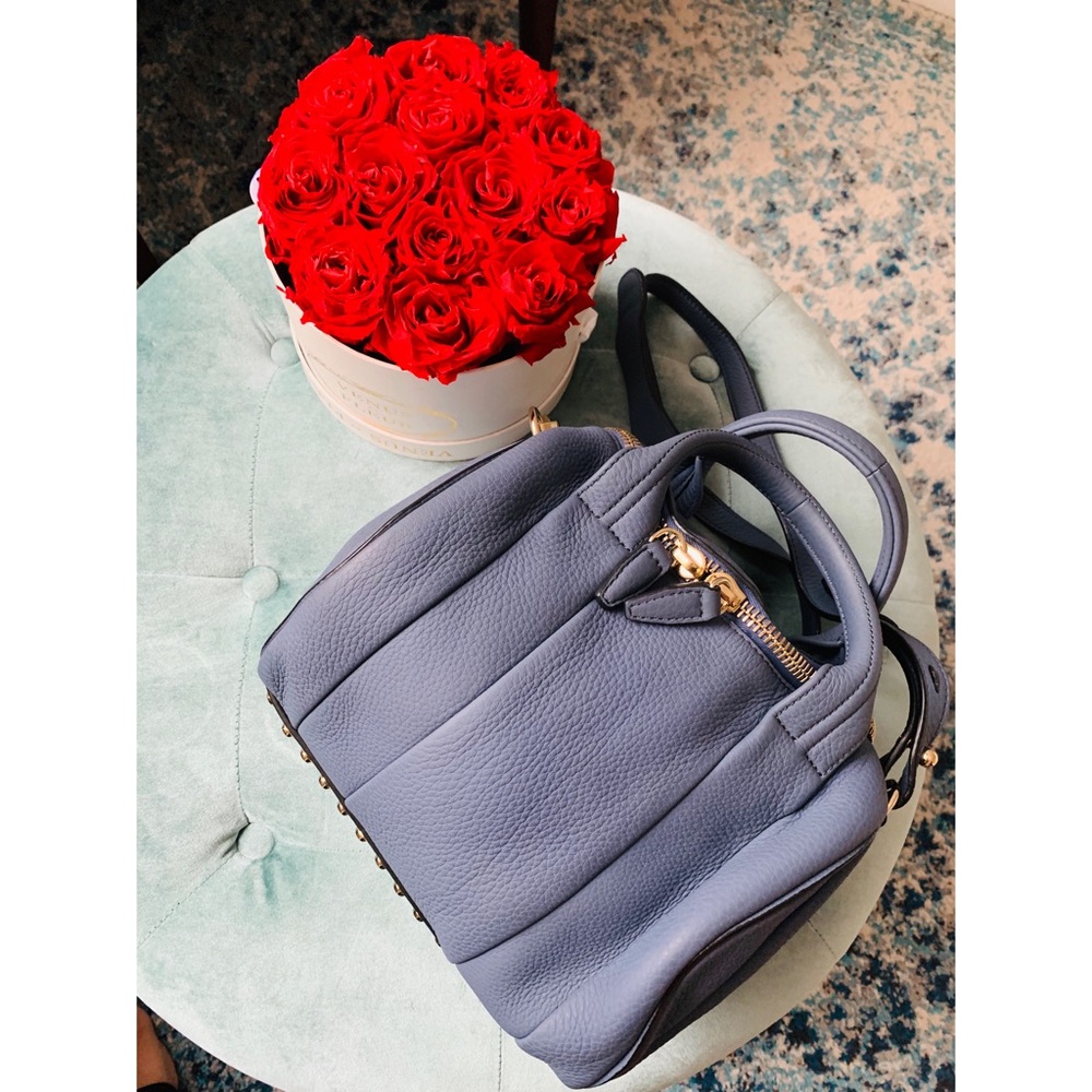 🔷Alexander Wang Varsity bag, w/ gold brand new 🔷